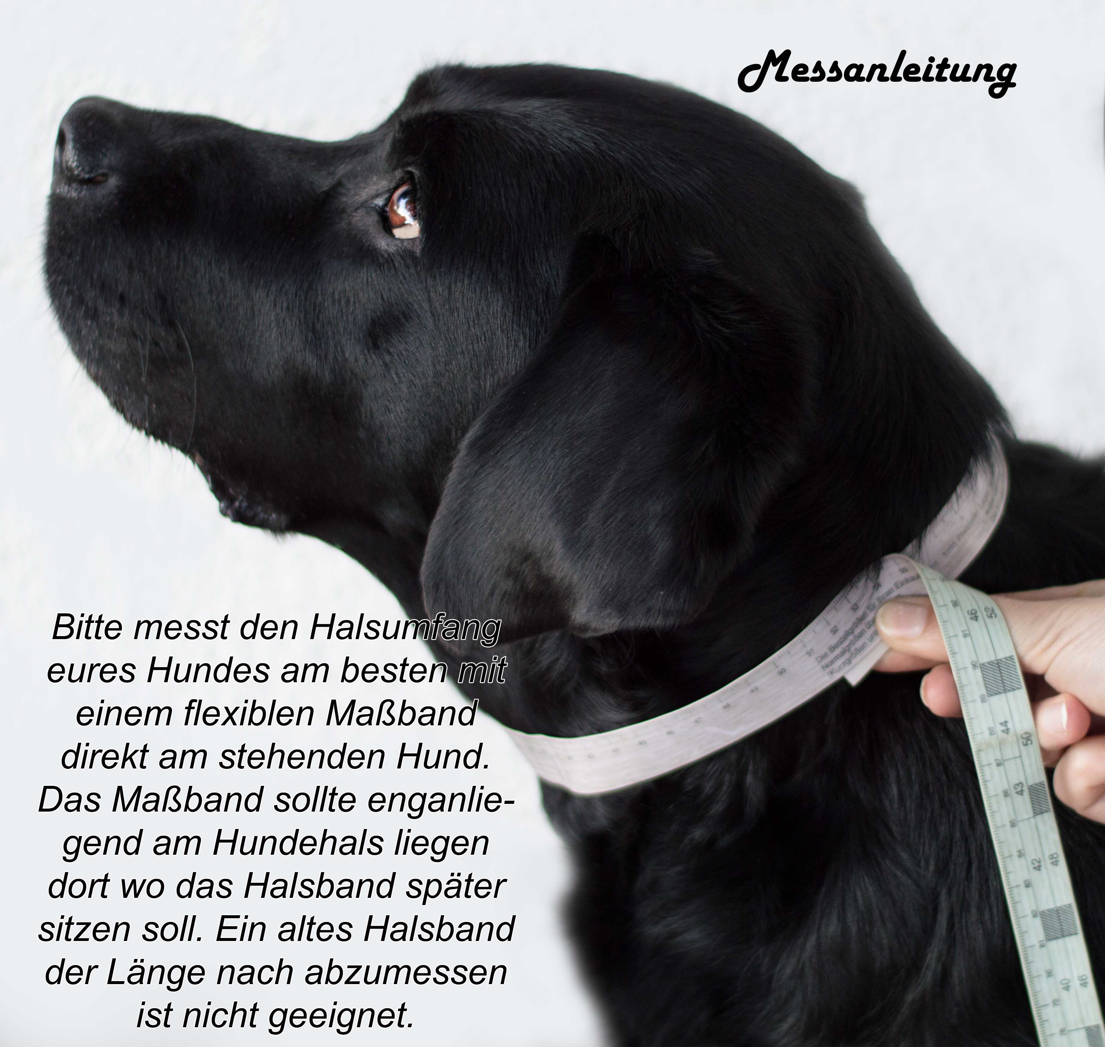 Fettlederhalsband mit Paracord " Model "Hudson"