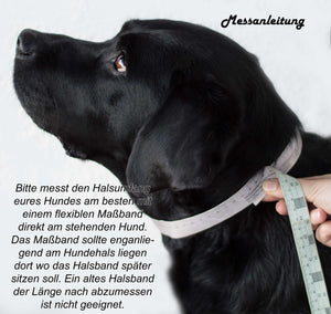 Fettlederhalsband mit Paracord " Model "Honey"